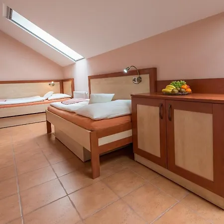 Schwarzenbersky Senik Guest house