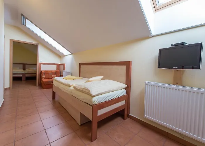 Schwarzenbersky Senik 3*